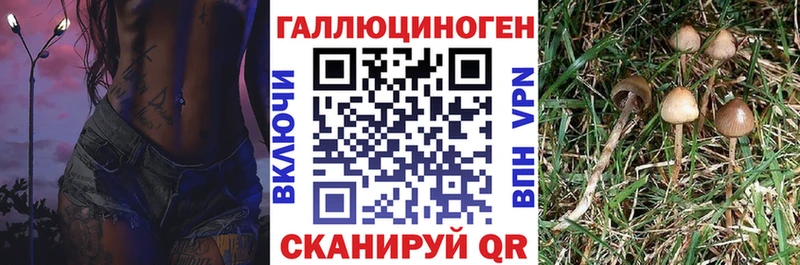 Галлюциногенные грибы GOLDEN TEACHER Дагестанские Огни