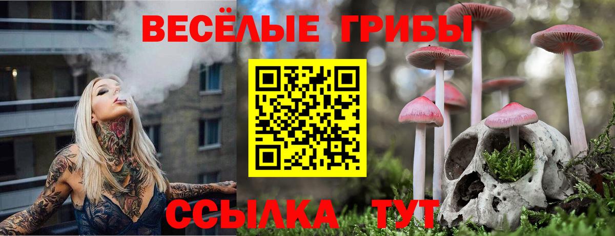 Псилоцибиновые грибы Magic Shrooms  Галлюциногенные грибы Cubensis  Дагестанские Огни  дарнет шоп  Вход с VPN 